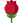 :red_rose: